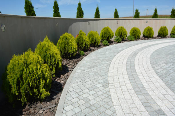 Reasons to Select Us for Your Driveway Paving Requirements in Whitehall, MI